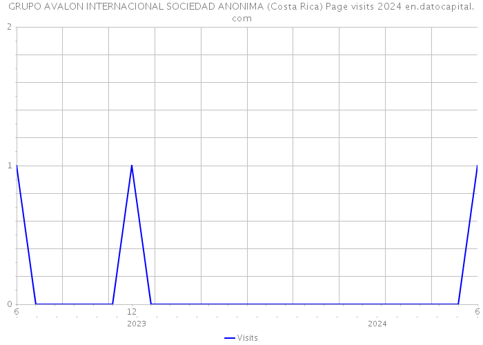 GRUPO AVALON INTERNACIONAL SOCIEDAD ANONIMA (Costa Rica) Page visits 2024 