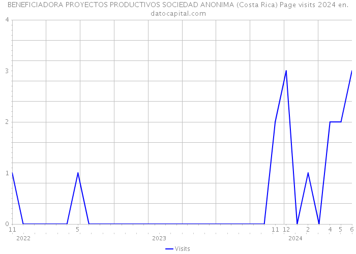 BENEFICIADORA PROYECTOS PRODUCTIVOS SOCIEDAD ANONIMA (Costa Rica) Page visits 2024 