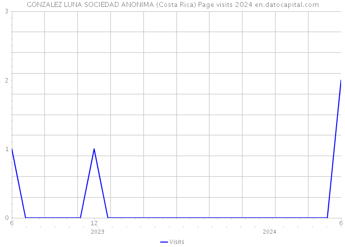 GONZALEZ LUNA SOCIEDAD ANONIMA (Costa Rica) Page visits 2024 