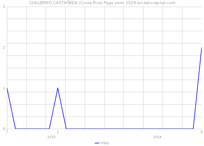 GUILLERMO CASTAÑEDA (Costa Rica) Page visits 2024 