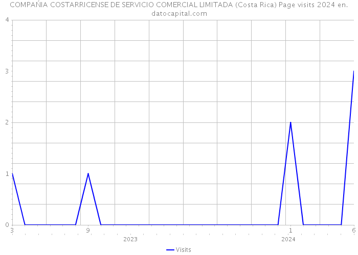 COMPAŃIA COSTARRICENSE DE SERVICIO COMERCIAL LIMITADA (Costa Rica) Page visits 2024 