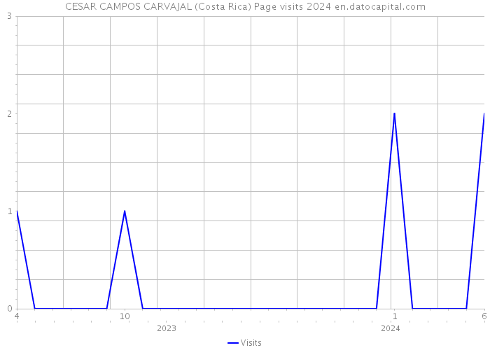 CESAR CAMPOS CARVAJAL (Costa Rica) Page visits 2024 