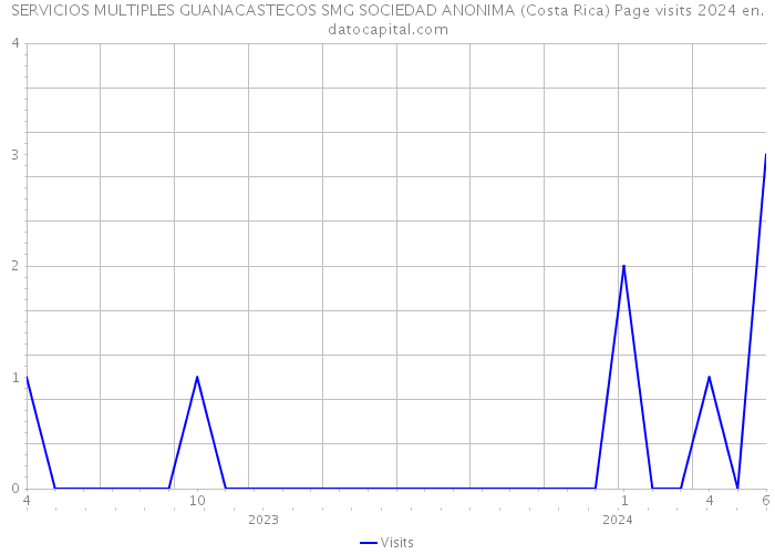 SERVICIOS MULTIPLES GUANACASTECOS SMG SOCIEDAD ANONIMA (Costa Rica) Page visits 2024 