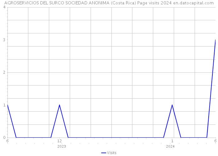 AGROSERVICIOS DEL SURCO SOCIEDAD ANONIMA (Costa Rica) Page visits 2024 