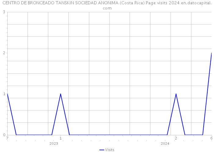 CENTRO DE BRONCEADO TANSKIN SOCIEDAD ANONIMA (Costa Rica) Page visits 2024 