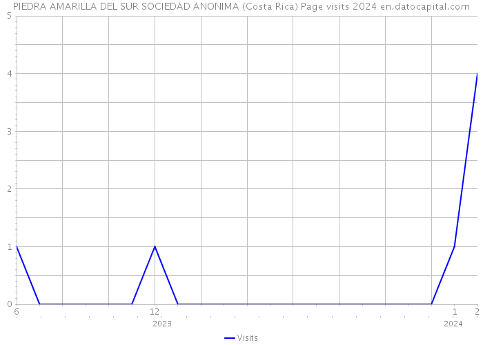 PIEDRA AMARILLA DEL SUR SOCIEDAD ANONIMA (Costa Rica) Page visits 2024 