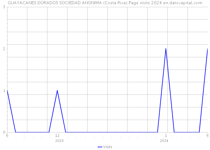 GUAYACANES DORADOS SOCIEDAD ANONIMA (Costa Rica) Page visits 2024 