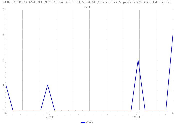 VEINTICINCO CASA DEL REY COSTA DEL SOL LIMITADA (Costa Rica) Page visits 2024 