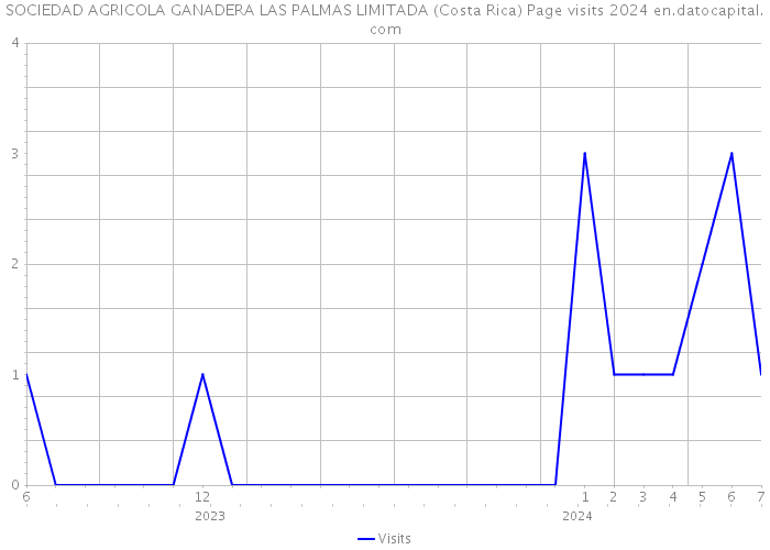 SOCIEDAD AGRICOLA GANADERA LAS PALMAS LIMITADA (Costa Rica) Page visits 2024 