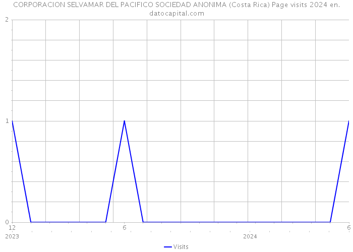 CORPORACION SELVAMAR DEL PACIFICO SOCIEDAD ANONIMA (Costa Rica) Page visits 2024 