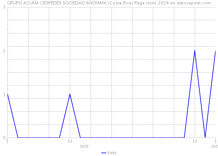GRUPO ACUŃA CESPEDES SOCIEDAD ANONIMA (Costa Rica) Page visits 2024 