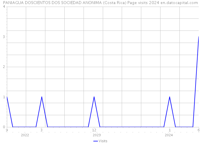 PANIAGUA DOSCIENTOS DOS SOCIEDAD ANONIMA (Costa Rica) Page visits 2024 