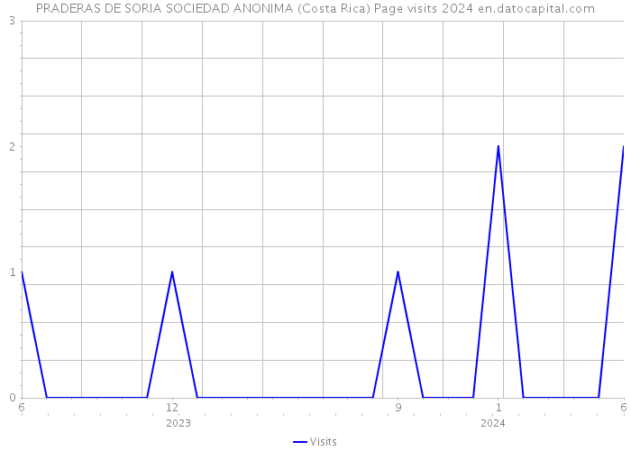 PRADERAS DE SORIA SOCIEDAD ANONIMA (Costa Rica) Page visits 2024 