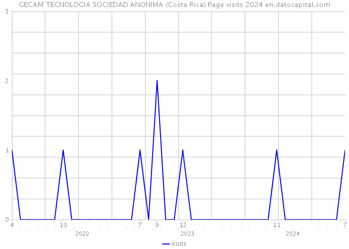 GECAM TECNOLOGIA SOCIEDAD ANONIMA (Costa Rica) Page visits 2024 