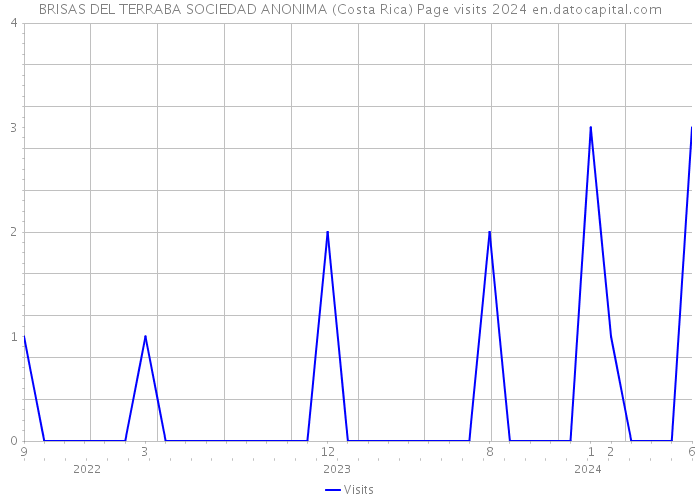 BRISAS DEL TERRABA SOCIEDAD ANONIMA (Costa Rica) Page visits 2024 
