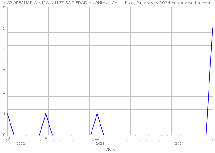 AGROPECUARIA MIRAVALLES SOCIEDAD ANONIMA (Costa Rica) Page visits 2024 