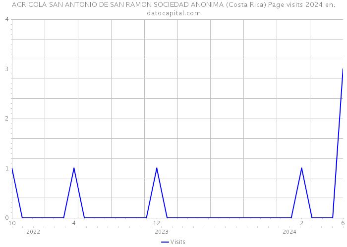 AGRICOLA SAN ANTONIO DE SAN RAMON SOCIEDAD ANONIMA (Costa Rica) Page visits 2024 