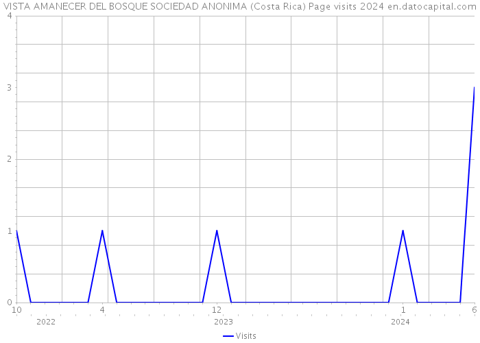 VISTA AMANECER DEL BOSQUE SOCIEDAD ANONIMA (Costa Rica) Page visits 2024 