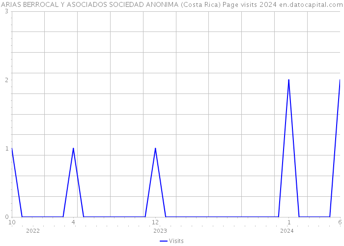 ARIAS BERROCAL Y ASOCIADOS SOCIEDAD ANONIMA (Costa Rica) Page visits 2024 