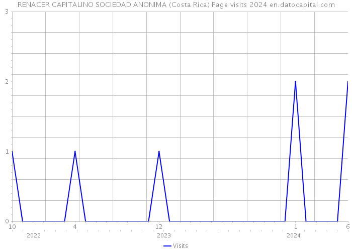 RENACER CAPITALINO SOCIEDAD ANONIMA (Costa Rica) Page visits 2024 