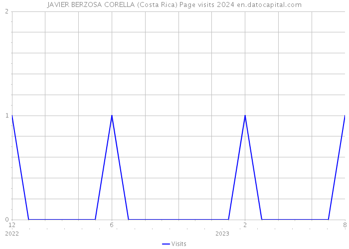 JAVIER BERZOSA CORELLA (Costa Rica) Page visits 2024 