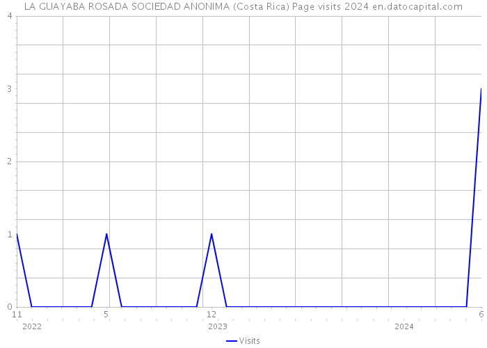 LA GUAYABA ROSADA SOCIEDAD ANONIMA (Costa Rica) Page visits 2024 