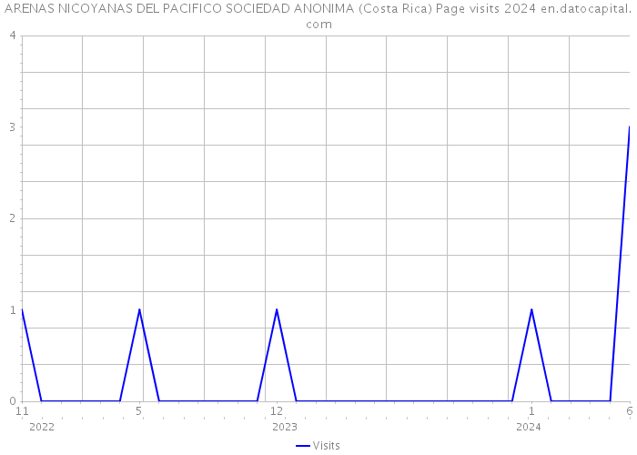 ARENAS NICOYANAS DEL PACIFICO SOCIEDAD ANONIMA (Costa Rica) Page visits 2024 