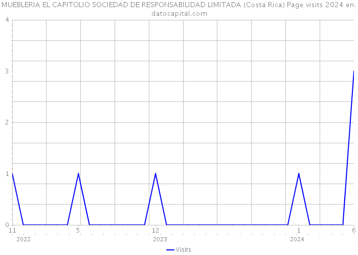 MUEBLERIA EL CAPITOLIO SOCIEDAD DE RESPONSABILIDAD LIMITADA (Costa Rica) Page visits 2024 