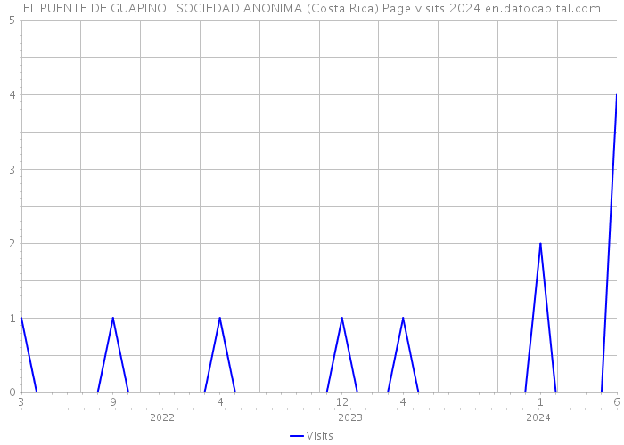 EL PUENTE DE GUAPINOL SOCIEDAD ANONIMA (Costa Rica) Page visits 2024 