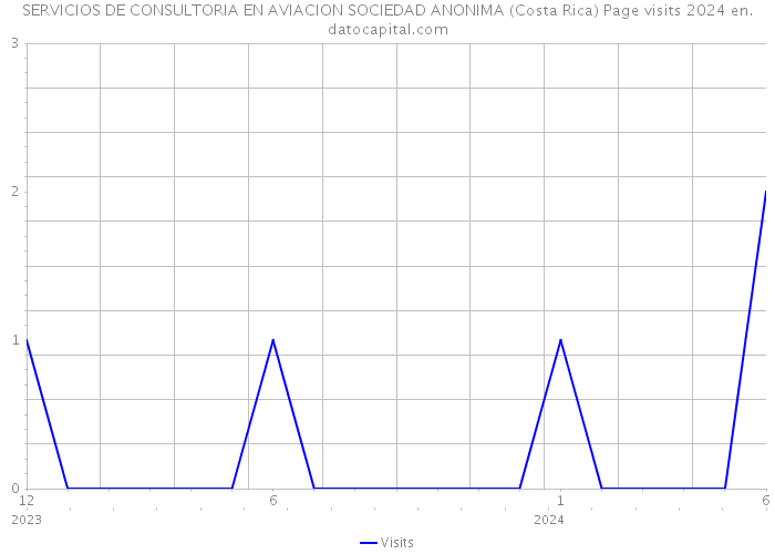 SERVICIOS DE CONSULTORIA EN AVIACION SOCIEDAD ANONIMA (Costa Rica) Page visits 2024 