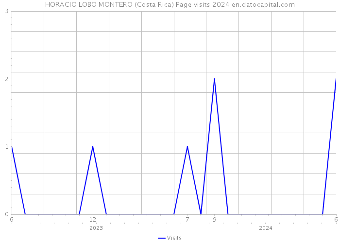 HORACIO LOBO MONTERO (Costa Rica) Page visits 2024 