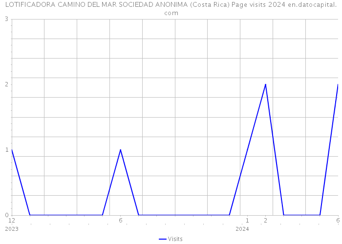 LOTIFICADORA CAMINO DEL MAR SOCIEDAD ANONIMA (Costa Rica) Page visits 2024 
