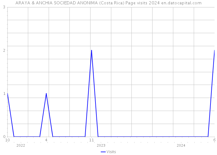 ARAYA & ANCHIA SOCIEDAD ANONIMA (Costa Rica) Page visits 2024 
