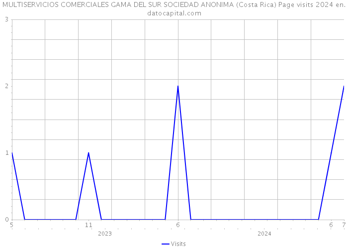 MULTISERVICIOS COMERCIALES GAMA DEL SUR SOCIEDAD ANONIMA (Costa Rica) Page visits 2024 