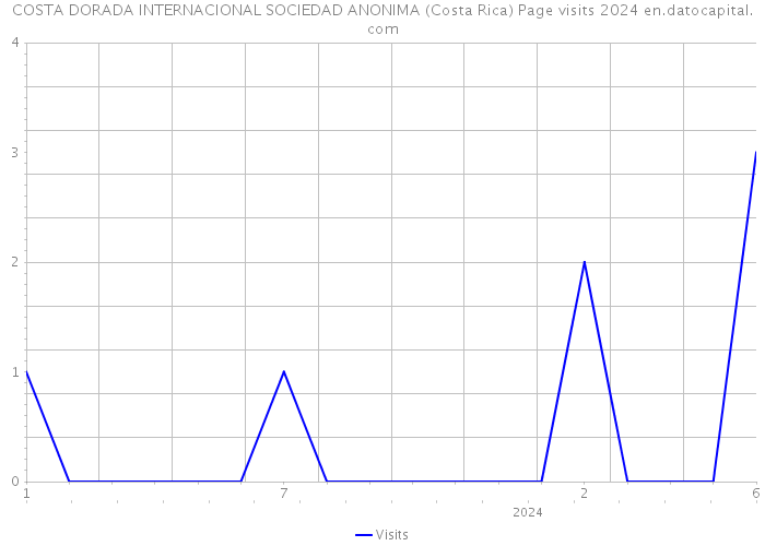 COSTA DORADA INTERNACIONAL SOCIEDAD ANONIMA (Costa Rica) Page visits 2024 