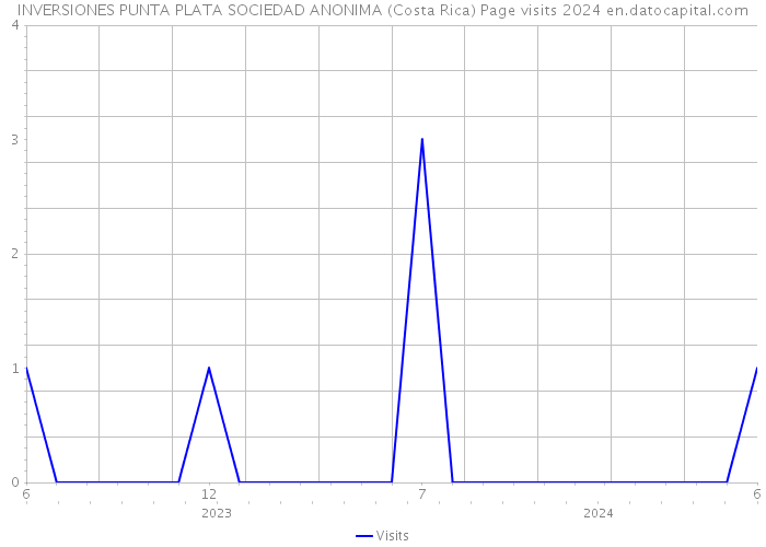 INVERSIONES PUNTA PLATA SOCIEDAD ANONIMA (Costa Rica) Page visits 2024 