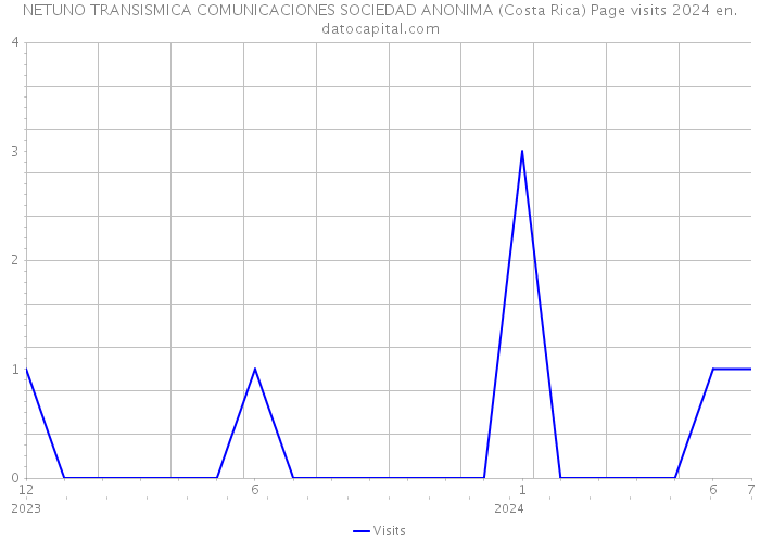 NETUNO TRANSISMICA COMUNICACIONES SOCIEDAD ANONIMA (Costa Rica) Page visits 2024 