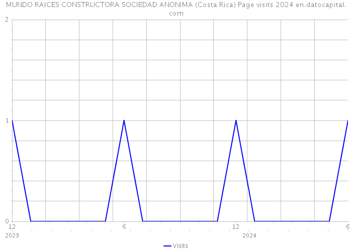 MUNDO RAICES CONSTRUCTORA SOCIEDAD ANONIMA (Costa Rica) Page visits 2024 