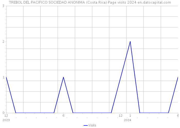 TREBOL DEL PACIFICO SOCIEDAD ANONIMA (Costa Rica) Page visits 2024 