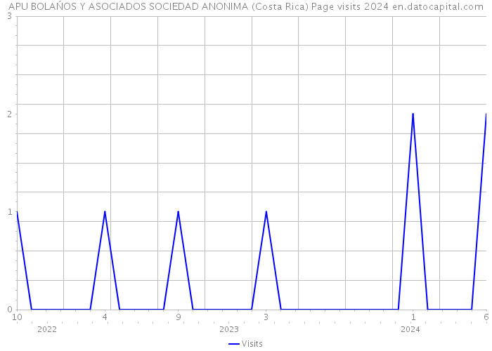 APU BOLAŃOS Y ASOCIADOS SOCIEDAD ANONIMA (Costa Rica) Page visits 2024 