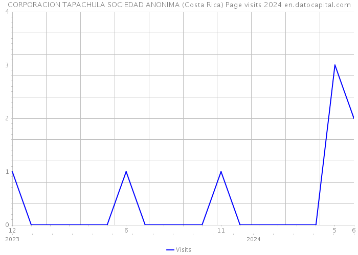 CORPORACION TAPACHULA SOCIEDAD ANONIMA (Costa Rica) Page visits 2024 
