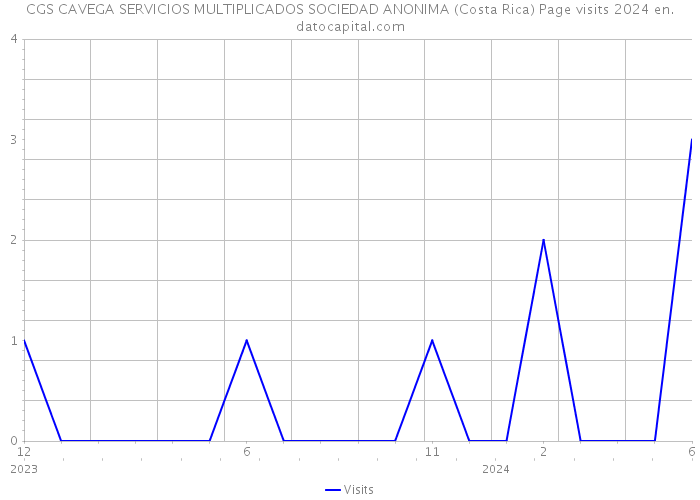 CGS CAVEGA SERVICIOS MULTIPLICADOS SOCIEDAD ANONIMA (Costa Rica) Page visits 2024 