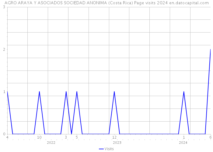 AGRO ARAYA Y ASOCIADOS SOCIEDAD ANONIMA (Costa Rica) Page visits 2024 