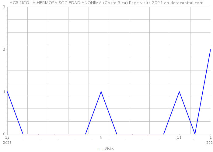 AGRINCO LA HERMOSA SOCIEDAD ANONIMA (Costa Rica) Page visits 2024 
