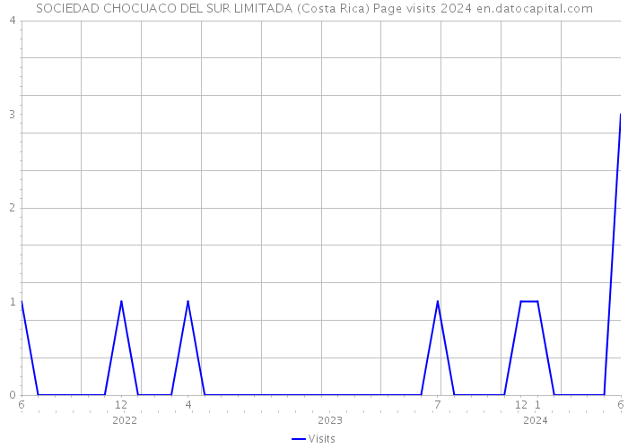 SOCIEDAD CHOCUACO DEL SUR LIMITADA (Costa Rica) Page visits 2024 