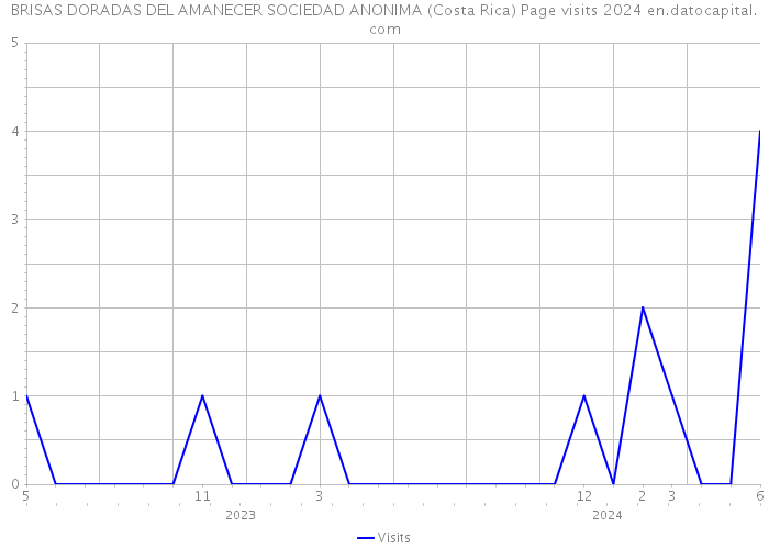 BRISAS DORADAS DEL AMANECER SOCIEDAD ANONIMA (Costa Rica) Page visits 2024 
