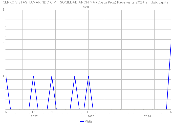 CERRO VISTAS TAMARINDO C V T SOCIEDAD ANONIMA (Costa Rica) Page visits 2024 