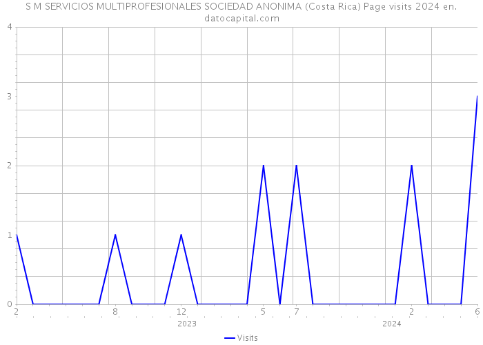 S M SERVICIOS MULTIPROFESIONALES SOCIEDAD ANONIMA (Costa Rica) Page visits 2024 