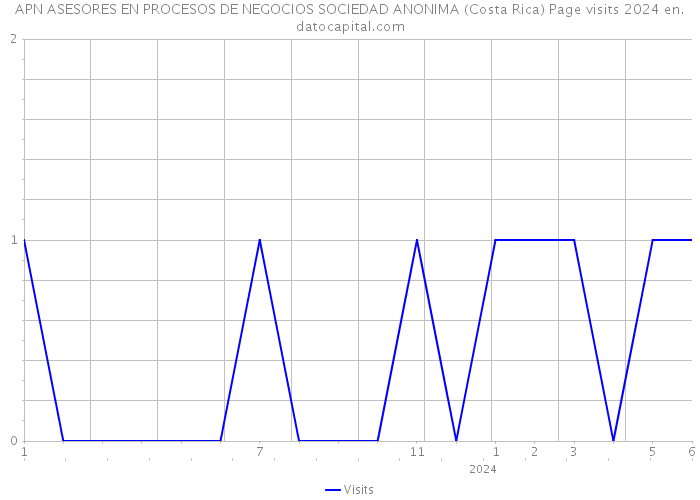 APN ASESORES EN PROCESOS DE NEGOCIOS SOCIEDAD ANONIMA (Costa Rica) Page visits 2024 