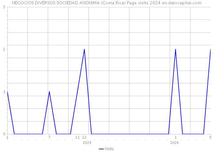 NEGOCIOS DIVERSOS SOCIEDAD ANONIMA (Costa Rica) Page visits 2024 